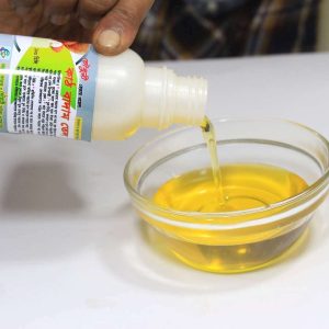 কাঠ বাদাম তেল | Almond Oil